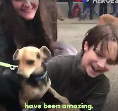 6岁小男神一年为800只流浪狗找家,把生日礼物变成给流浪狗的礼物