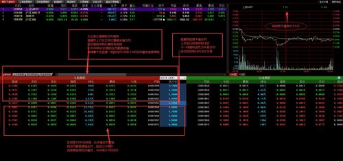 上证50etf期权 一张合约多少