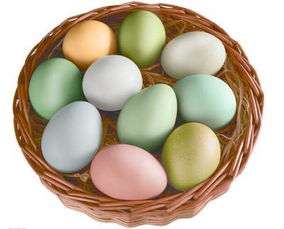 绿色的鸡蛋(绿色壳的鸡蛋是什么蛋)