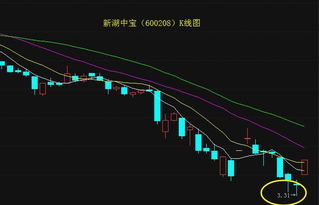 600208新湖中宝为何连续下跌？