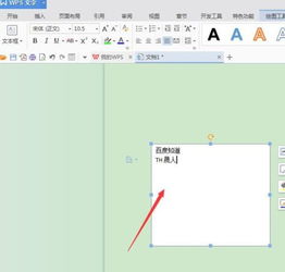 wps文字里这个框框是怎么弄出来的 