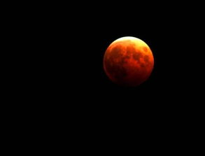 全球多地上演月全食 出现红色血月亮