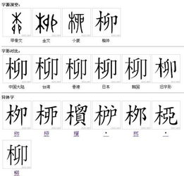 柳 字的演变过程 