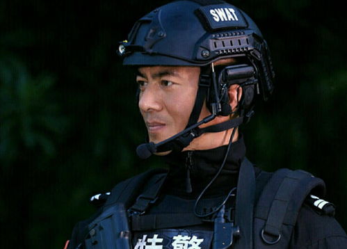 2016特警电视剧有哪些