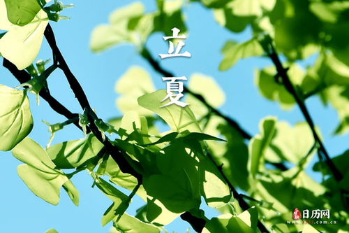 立夏节气的含义是什么意思