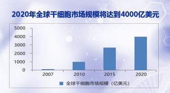 国内涉及干细胞技术研究与应用的上市公司都有哪些？