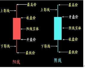 如何炒股，怎样买股票？我是新手。谢谢！！！