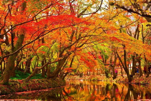 关于秋天颜色的诗句