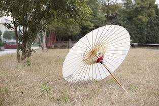 油纸伞的美是布面伞取代不了的