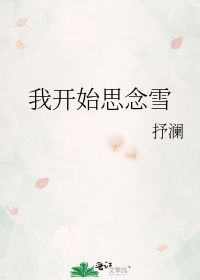 我开始思念雪 抒澜 