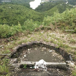 陈益峰 美女踏车,曾氏祖坟,人丁大发