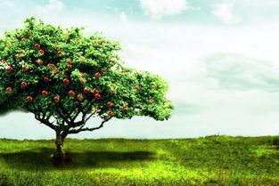 做梦梦见树在长大是什么意思 周公解梦 