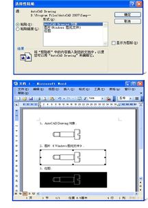 从CAD里把图复制到WPS表格里要怎么复制 