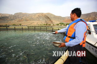 青海化隆 农民专业合作社助力绿色水产养殖 