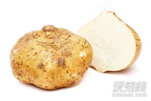 凉薯热量高吗 凉薯减肥期间可以吃吗