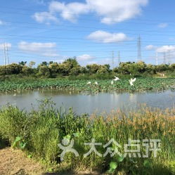 电话 地址 价格 营业时间 长兴岛景点团购 崇明区周边游 