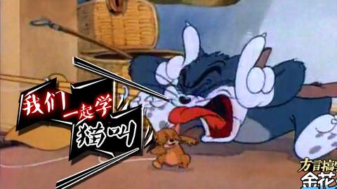 四川话搞笑配音 猫和老鼠成人恶搞配音版,太搞笑了