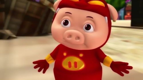 猪猪侠 比起小猪猪来,还是垃圾更吸引人,小猪猪傻眼 