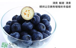蓝莓一天吃多少为宜(蓝莓每天吃多少合适)