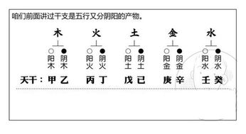 如何通过五行相生来增助我们的考试运