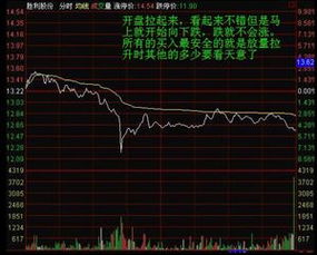 请老师帮忙写一个通达信分时选股公式如下附图，怎样能选出这样的股票？