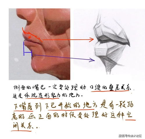 手相金星带与理财图解