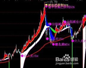 请问如何使在某一时间段内公式选出的股票自动添加标记？