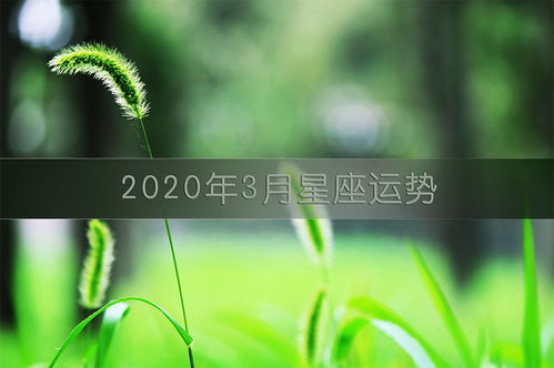 2020年3月星座运势全篇 双子座 月运 各周运