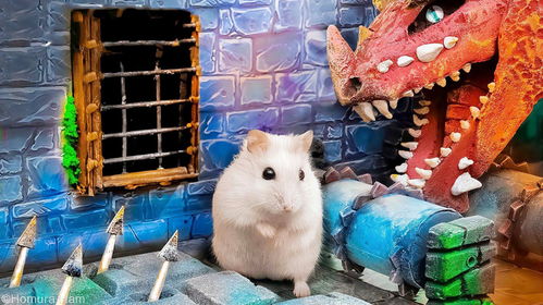 爱玩的小仓鼠 挑战巨型恐龙密室逃脱,机智的仓鼠能脱颖而出吗