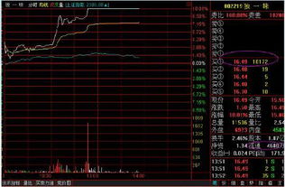 封单超过 20000手/亿股 的股票是什么意思？