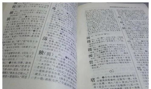 爸爸姓 死 ,本准备让孩子冠母姓,爷爷反对后取的名字让人叫绝