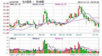 两股东新成立公司注入的资金怎么入帐才能明确他们的股份？