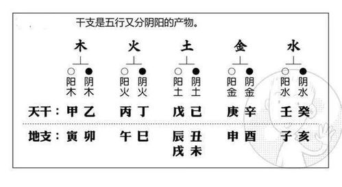 为什么透过八字能知晓当下,改变未来呢 上