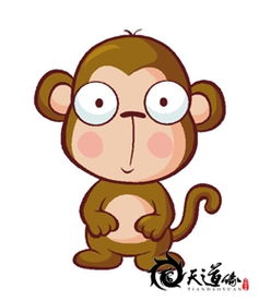 2016猴年宝宝吉祥起名攻略