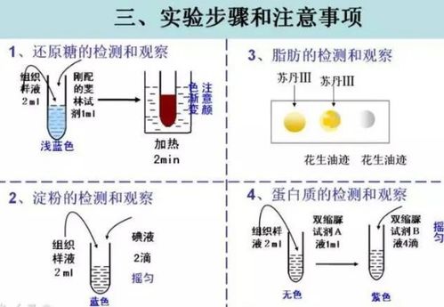 理科中的文科 生物该怎么学 快速提分很简单