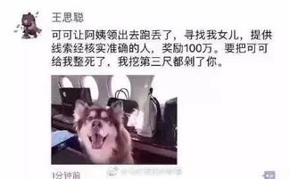 说自己累成狗 狗可比你舒服多了 