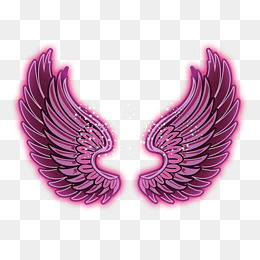 摩羯座粉色翅膀，摩羯座粉色翅膀代表什么