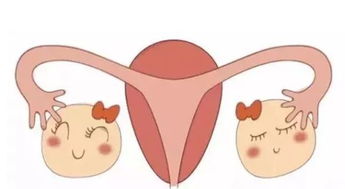怎样保养卵巢，保养卵巢的10个方法