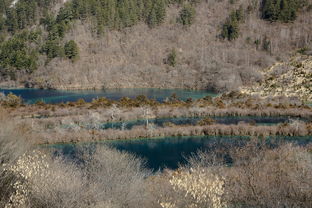 什么川阴山下，什么川阴山下