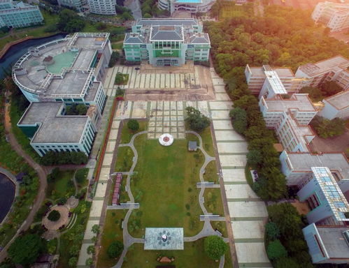 广州中医药大学自考药学,广州中医药大学成人学历提升可以报考什么专业？