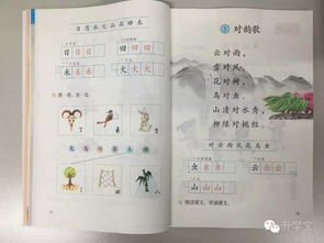 小学语文识字研究案例范文  小学语文识字写字教学研究的核心概念界定怎么写？