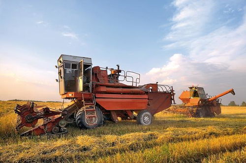 快要收小麦了，专家说用联合收割机收小麦污染环境，农民该怎么办
