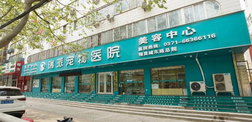 郑州最牛宠物医院的正确打开方式