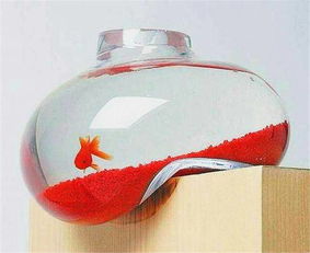 这个鱼缸叫什么名字呢 