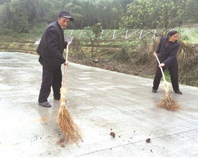 梦见自己扫地扫不净