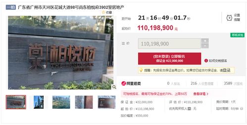 广州顶级豪宅1.76亿元司法拍卖 业主实控人系上市公司老板
