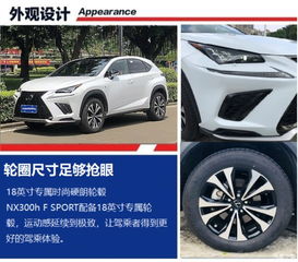 雷克萨斯NX300h 不一样的试驾体验 