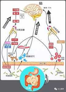 如何做一个心情好的健康吃货