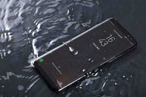 iPhone 11浸泡在水中8个月还能正常使用 消费者该信吗