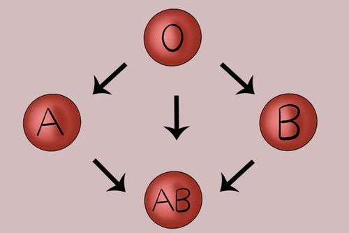 血型预测癌症 A B O不同血型的人,哪个更健康 终于说明白了